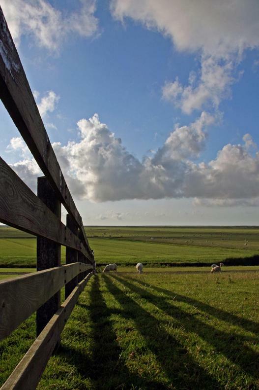 "Wattengebiet Entdeckungsreise" Tzummarum Exterior photo